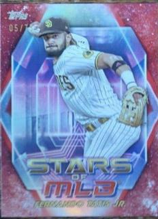 Fernando Tatis Jr.