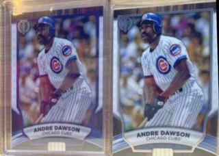 Andre Dawson