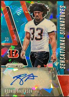 Rodney Anderson