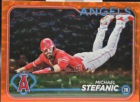 Michael Stefanic