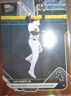 Luis Robert Jr.