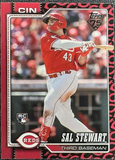 Sal Stewart