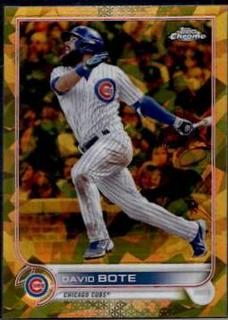 David Bote