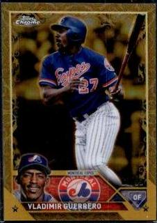 Vladimir Guerrero