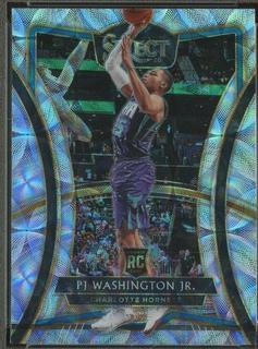 PJ Washington Jr.