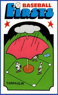 Tarpaulin