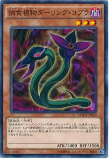 Predaplant Darlingtonia Cobra MACR-JP010
