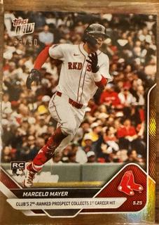 Marcelo Mayer