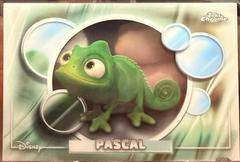 Pascal