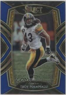 Troy Polamalu