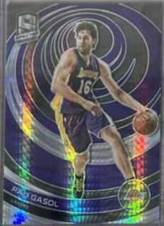 Pau Gasol