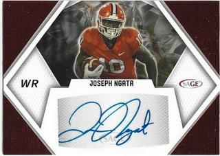 Joseph Ngata