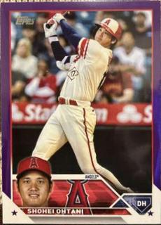 Shohei Ohtani