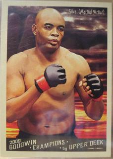 Anderson Silva
