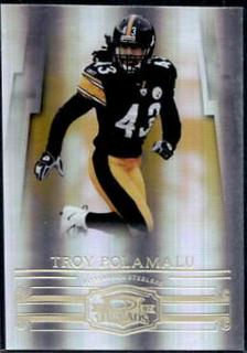 Troy Polamalu