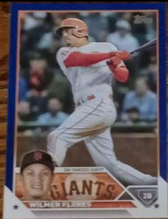 Wilmer Flores