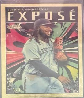 Vladimir Guerrero Jr.