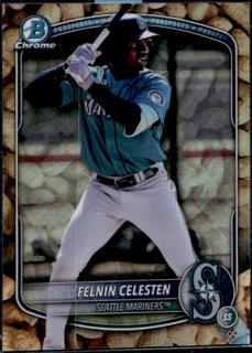 Felnin Celesten