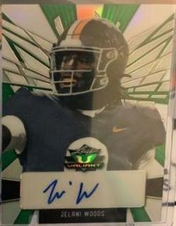 Jelani Woods