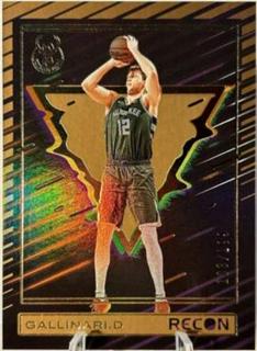 Danilo Gallinari