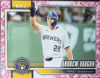 Andrew Vaughn