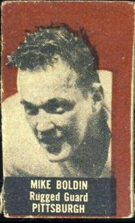 Mike Boldin