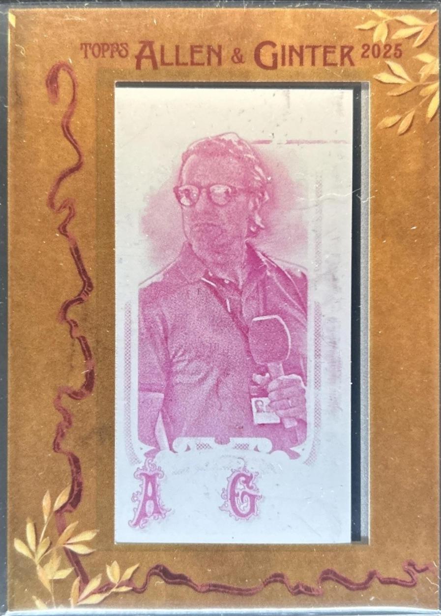 Dario Franchitti [Glossy Mini] #295