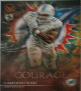 Cameron Wake