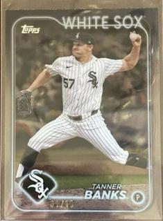 Tanner Banks