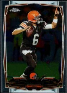Brian Hoyer