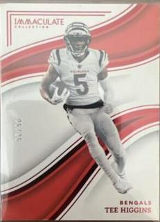Tee Higgins