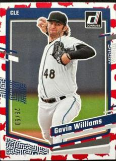 Gavin Williams