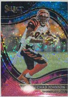 Chad Johnson