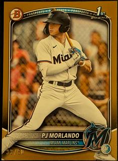 PJ Morlando