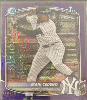 Mani Cedeno
