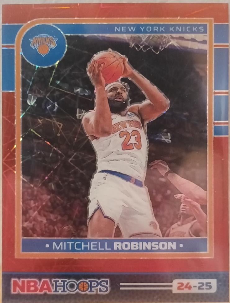 Mitchell Robinson [Lazer Red Prizm Premium] #208