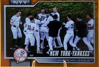 Team Card