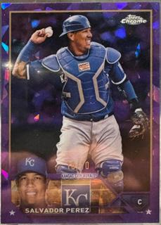 Salvador Perez