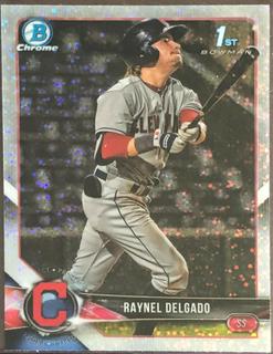 Raynel Delgado