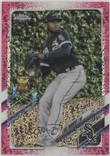 Luis Robert