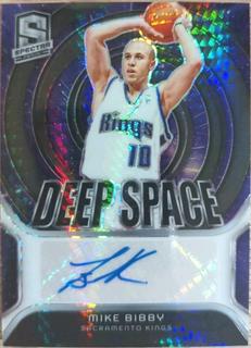 Mike Bibby