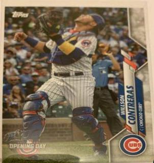 Willson Contreras
