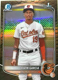 Elvin Garcia