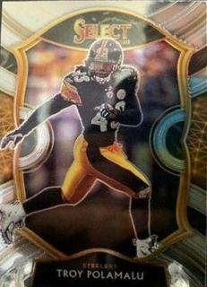 Troy Polamalu