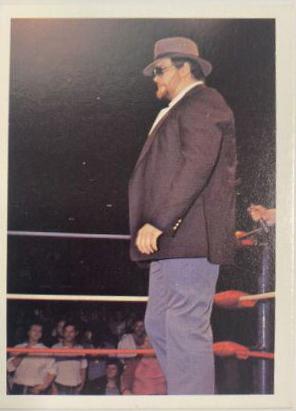 Big Bubba Rogers #283 Wrestling Cards 1988 Wonderama NWA