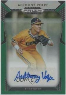 Anthony Volpe
