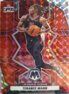 Terance Mann