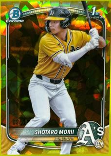 Shotaro Morii