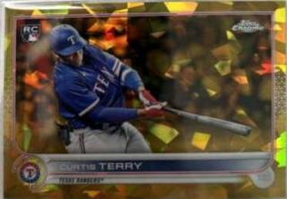 Curtis Terry
