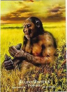 Homo Habilis #AOM22 Baseball Cards 2011 Topps Allen & Ginter Ascent of Man